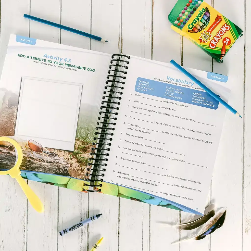 Zoology-1-Flying-Creatures-2nd-Edition-Notebooking-Journal-Lesson-4.webp
