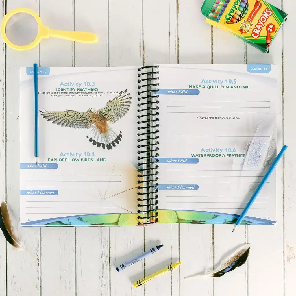 Zoology-1-Flying-Creatures-2nd-Edition-Notebooking-Journal-Lesson-10.webp