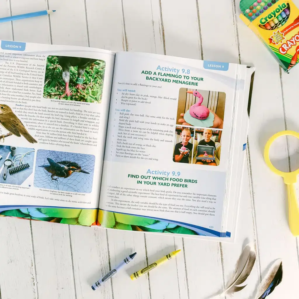 Zoology-1-Flying-Creatures-2nd-Edition-Textbook-Lesson-9.webp