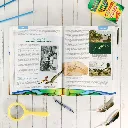 Zoology-1-Flying-Creatures-2nd-Edition-Textbook-Lesson-8.webp