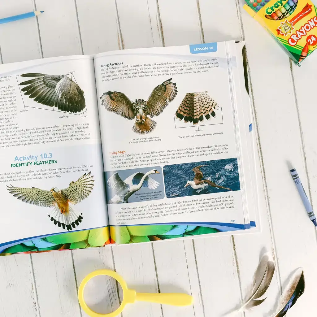 Zoology-1-Flying-Creatures-2nd-Edition-Textbook-Lesson-10.webp