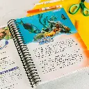 Preschool-Science-Lesson-5.webp