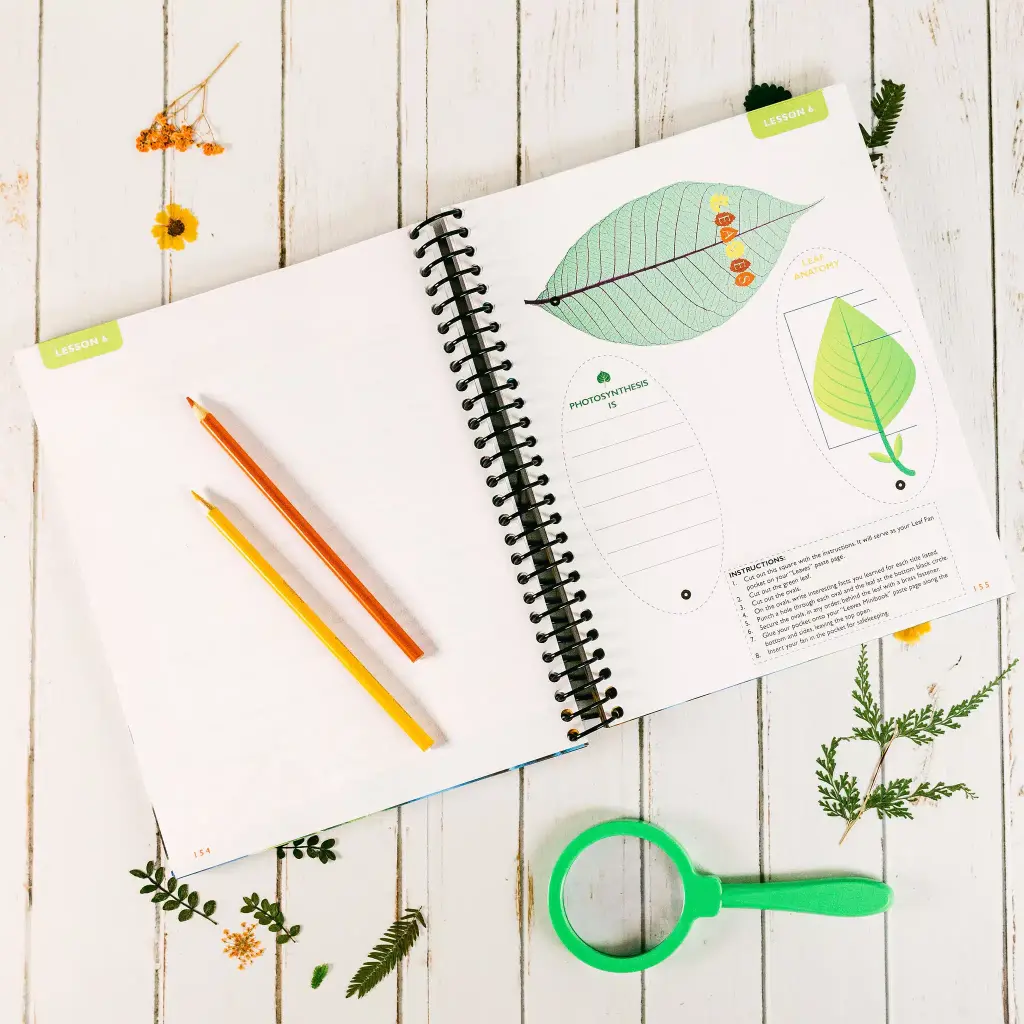 Botany-Regular-Notebooking-Journal-Lesson-6.webp