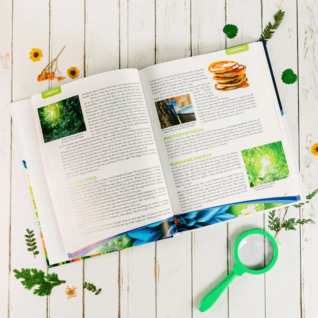 Botany-Textbook-Lesson-6-2.webp