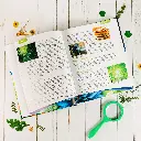 Botany-Textbook-Lesson-6-2.webp