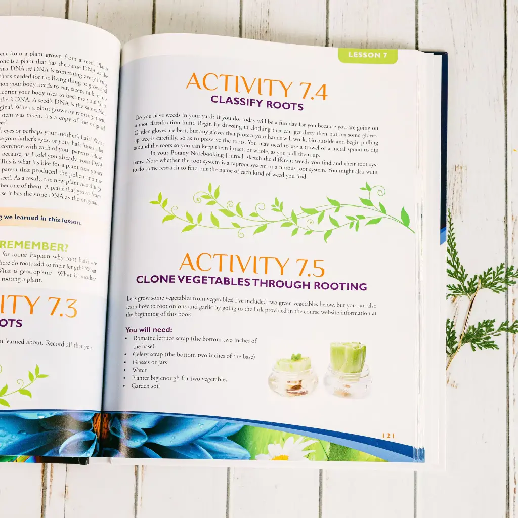 Botany-Textbook-Lesson-7-2.webp