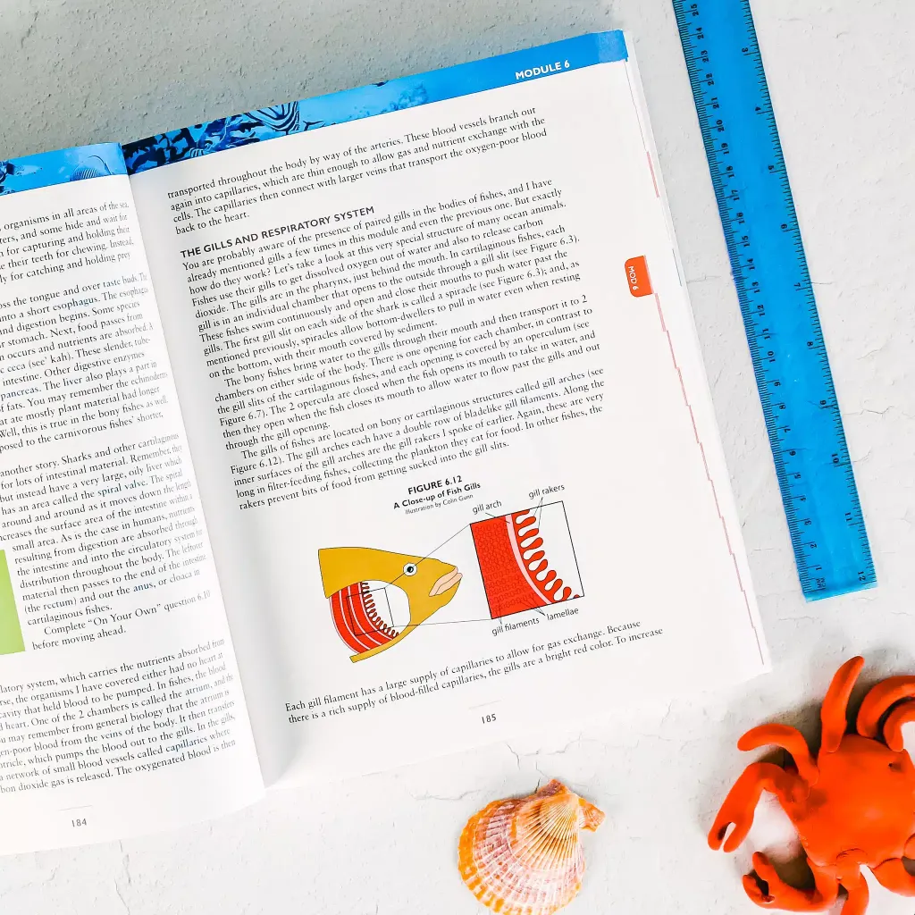Marine-Biology-Textbook-Module-6.webp