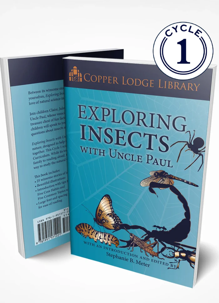 Copper Lodge Library: Exploring Insects With Uncle Paul