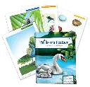 Birds of a Feather Review Book
